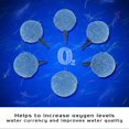 thumbnail image 2 of Lot de 10 diffuseurs à bulles d'oxygène pour aquarium hydroponique, 2 of 4