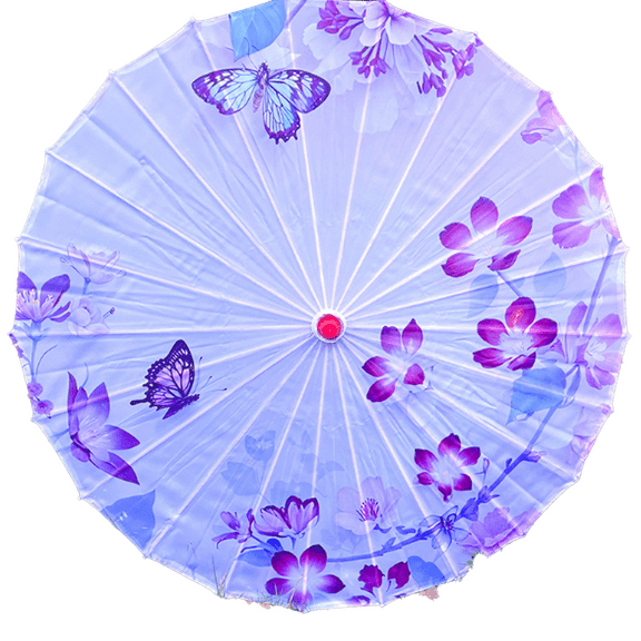 Gastropod Umbrella, Silk Cloth Umbrella, Solid Wood Handle Decorative Umbrella, Oil Paper Umbrel