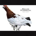 thumbnail image 3 of CafePress - Willow Ptarmigan Women's T Shirt - Women's Traditional Fit Dark T-Shirt, 3 of 4