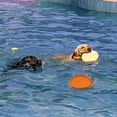 thumbnail image 3 of TPR Pet Soft Flying Disc Dog Gnawing Flying Saucer Pet Training To Play With Interactive Toys Dog Flying Disc, 3 of 4