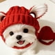 thumbnail image 3 of Gorro de invierno cálido con orejeras de punto rojo para perro, 3 of 4