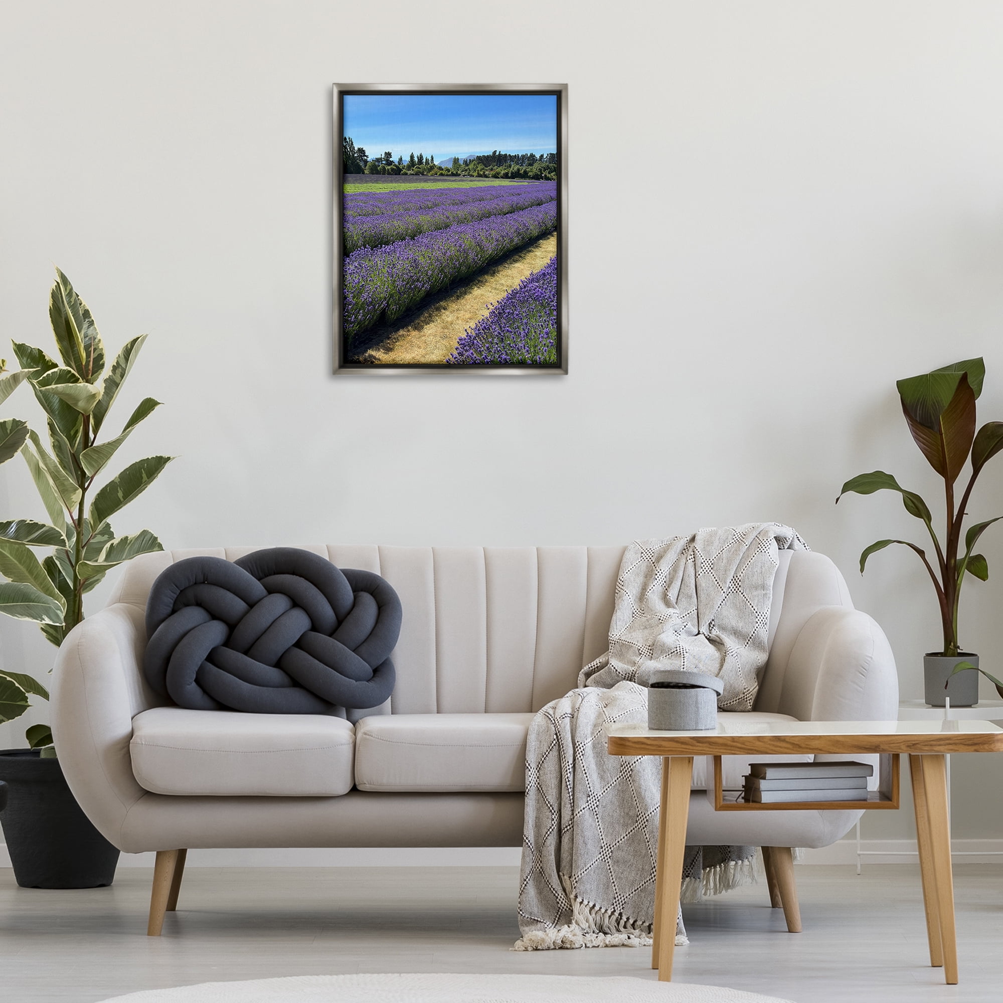 Stupell Industries Lavender Path Landscape Landscape Photography Gray Floater Framed Art Print Wall Art, 25 x 31
