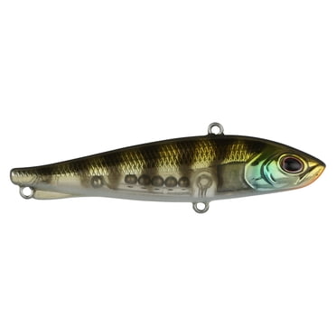 Berkley Ripfish