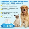 thumbnail image 5 of Oimmal Pet Flushable Anal Gland Wipes, Plant Based for Dogs & Cats Cleansing & Deodorizing - Grooming Wipes for Paws, Body, and Butt (80 Count), 5 of 11