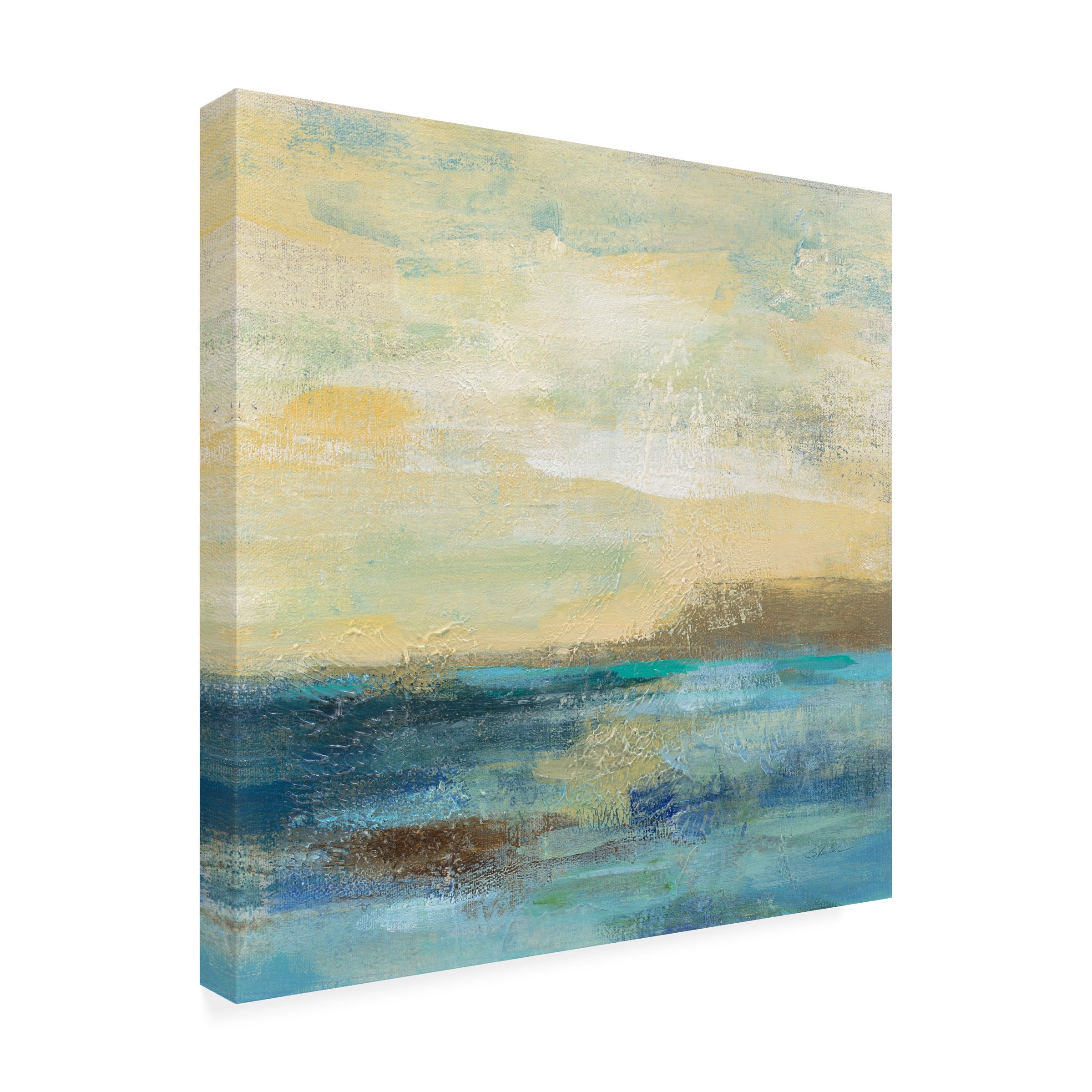 Trademark Fine Art 'Sunset Beach II' Canvas Art by Silvia Vassileva