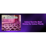 NAILGIRLS LED Grow Light 2000W Veg/Bloom Daisy Chain Plant Lamp with Hygrometer for Indoor Plants