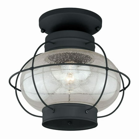 

Chatham Black Coastal Globe Outdoor Flush Mount 1-Light Ceiling Fixture Clear Glass