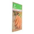 thumbnail image 3 of Semillas Zanahoria Germinal 1Gr Hasta 400 Plantas, 3 of 3