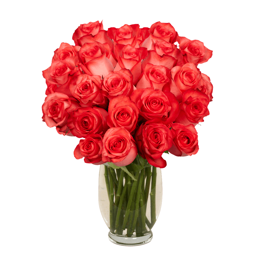 50 Stems of Yellow With Red Tips Latin Beauty Roses- Beautiful Fresh Cut  Flowers- Express Delivery 