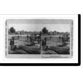 thumbnail image 2 of Historic Framed Print, Fair Oaks Station, Va., 17-7/8" x 21-7/8", 2 of 9