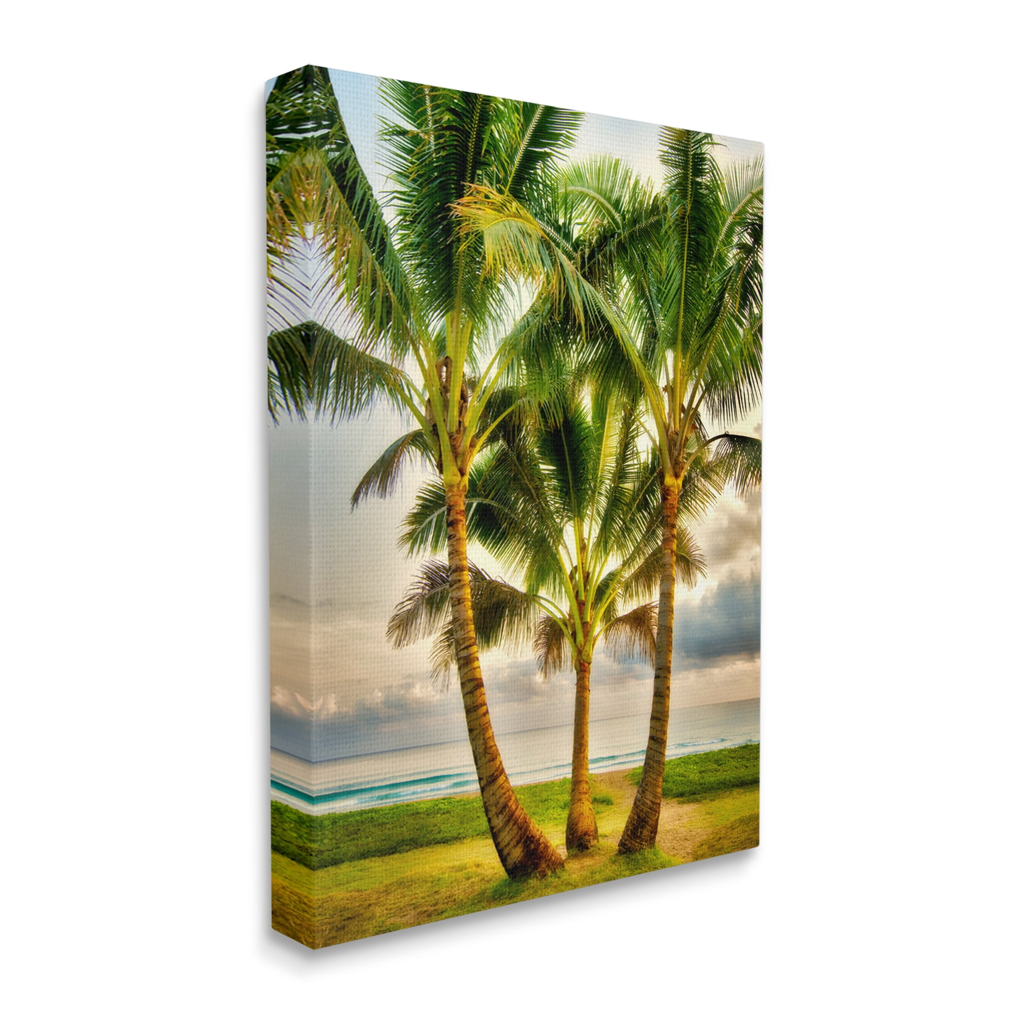 Stupell Industries Three Palm Trees on Beach Nature Painting Gallery Wrapped Canvas Print Wall Art, 24 x 30