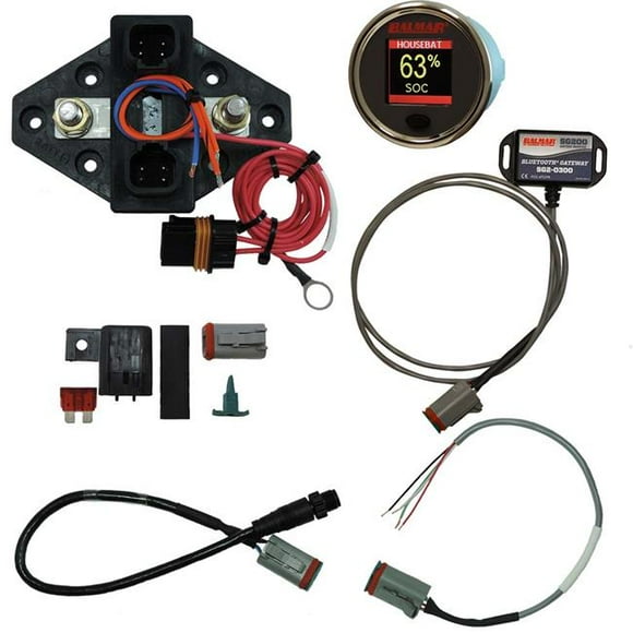 Balmar SG230 12 - 48V DC N2K BT Gateway Color Display Battery Monitor Kit