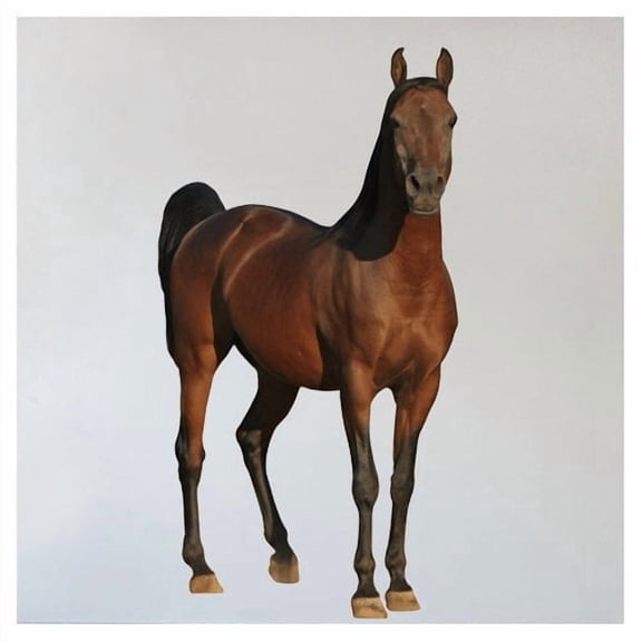Wallhogs Horse IX Cutout Wall Decal