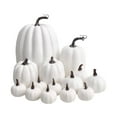 thumbnail image 2 of DAMAI 14 Pieces Artificial Pumpkins,Foam Fall Pumpkins Decor Set,ssorted Large Faux Harvest Pumpkins for Autumn Thanksgiving Halloween Seasonal Holiday Decor Decoration (White), 2 of 6