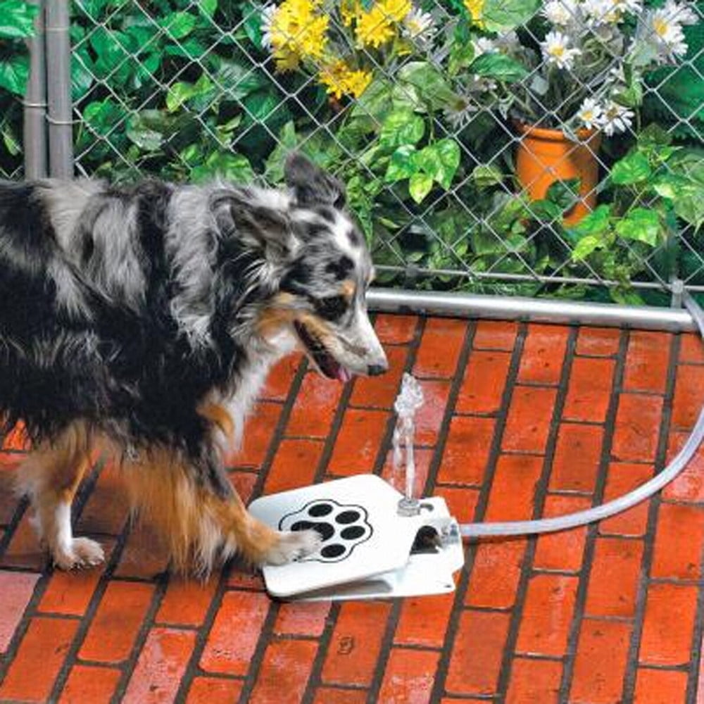 Dog Water Toys For Hose