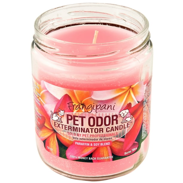 Frangipani Odor Exterminator Candle Walmart Com Walmart Com