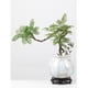 thumbnail image 3 of Maceta redonda de cerámica, orquídea grande, transpirable, personalizada con base, planta verde, bonsái suculento, planta en maceta, 3 of 3