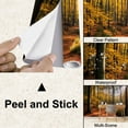 thumbnail image 4 of Peel and Stick Wallpaper Kaltenhofer Moor Schleswig Holstein Germany Modern Art Wall Mural Decor Self Adhesive and Removable 100in x 144in, 4 of 8