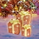 thumbnail image 5 of Juego de 3 Cajas Navideñas con Iluminación Led, Adornos Metálicos para Regalos | Decoración Navideña Impermeable para Exteriores | Cajas de Regalo Iluminadas En Plateado, Rojo y Azul | Iluminación pa, 5 of 6