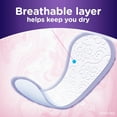 thumbnail image 4 of Always Thin No Feel Protection Daily Liners Regular Absorbency Scented, 20 Count, 4 of 8