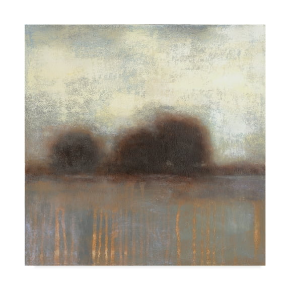 Trademark Fine Art 'Haze I' Canvas Art by Norman Wyatt