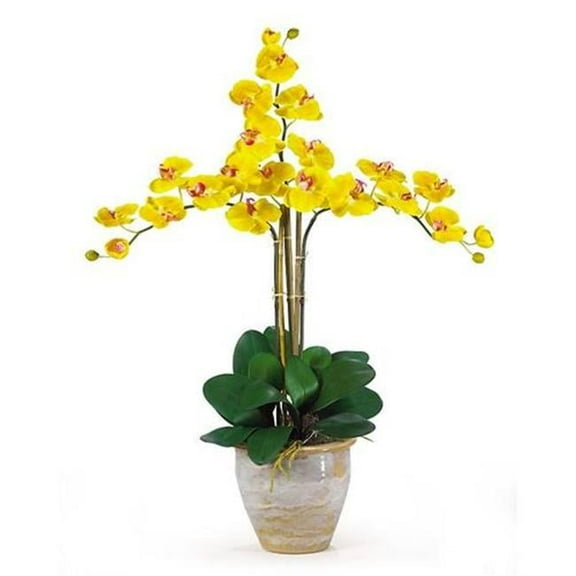 Triple Stem Phalaenopsis Silk Orchid Arrangement