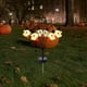 thumbnail image 1 of Luces Led Solares para Exteriores, Ideales para Decoraciones de Halloween y para Iluminar El Jardín., 1 of 6