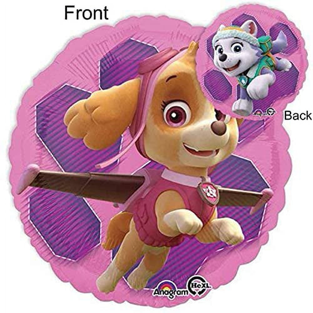 Paw Patrol Party Supplies Skye and Everest Pups 2nd Birthday Balloon Bouquet Decorations Pink Number 2