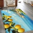 thumbnail image 3 of Summer Fruit Washable Area Rugs 4'x6', Yellow Lemon Blue Sky Green Leaf Vintage Low Pile Throw Living Room Rug Non-Slip Sturdy Edge Binding Carpet for Indoor Entryway Bedside Kitchen, 3 of 9
