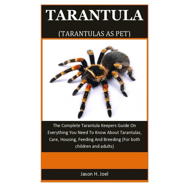 Tarantula As Pet The Complete Tarantula Keepers Guide On Everything