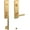 Gold, variant on Baldwin 85387112RENT Evolved Soho Escutcheon Handleset - Venetian Bronze