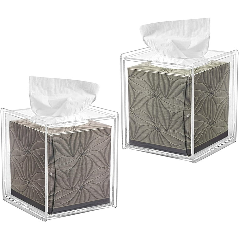 Modern Lucite Tissue Box