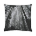 thumbnail image 2 of Ahgly Company Color Focus Black Outdoor Throw Pillow, 18 inch by 18 inch, 2 of 6