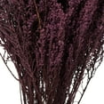 thumbnail image 3 of Vickerman 14-18" Violet  Stoebe Bundle, 3 of 4