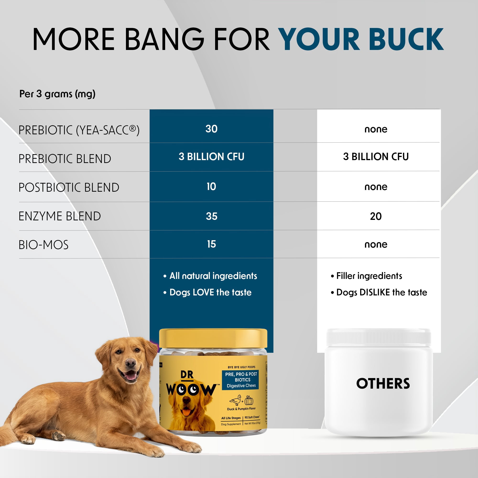Pre, Pro & Postbiotic Digestive Support Soft Chews