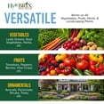 thumbnail image 2 of HyR BRIX All-Purpose Liquid 4-3-3 Fertilizer, 2.5 Gallons - Fast-Acting Plant Food with Micronutrients, Humic & Fulvic Acids - Ideal for Vegetables, Flowers, Fruits & Houseplants, 2 of 7