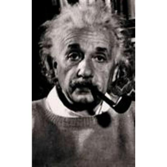 Pre-Owned Who Was Albert Einstein? (Hardcover) 2843236738 9782843236730