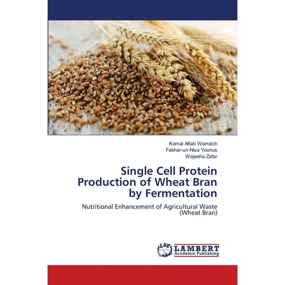 Single Cell Protein Production of Wheat Bran by Fermentation Walmart