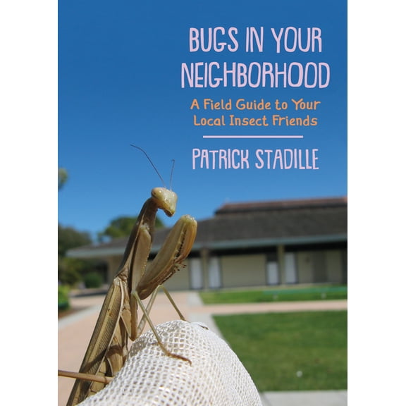 Bugs in Your Neighborhood: A Field Guide to Your Local Insect Friends, (Paperback)