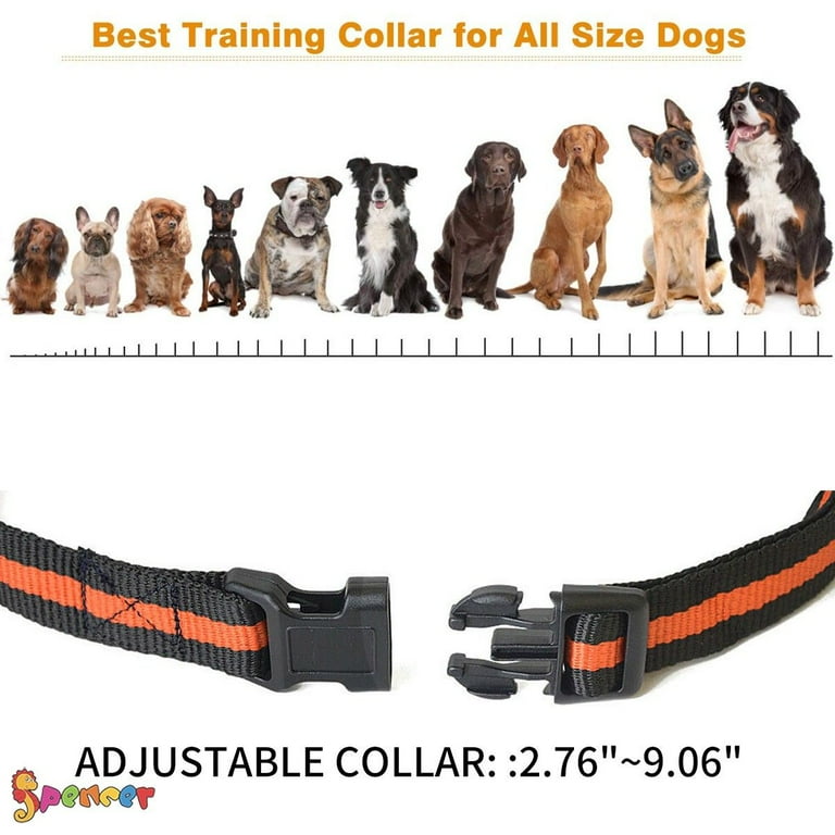 Best remote hotsell control bark collar