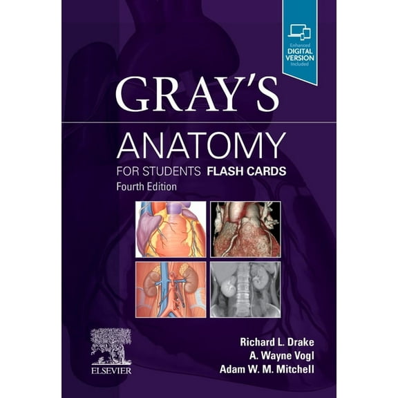 Gray's Anatomy for Students Flash Cards