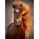 thumbnail image 1 of Pintura de diamante (DE6064) DIY Caballo cuadrado en viento Imagen de diamantes de imitación 50x70cm Hugtrwg Para estrenar, 1 of 1