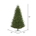 thumbnail image 3 of Vickerman 6.5' x 51" Fresh Fraser Fir Artificial Christmas Tree, Warm White Dura-lit LED Lights, 3 of 5