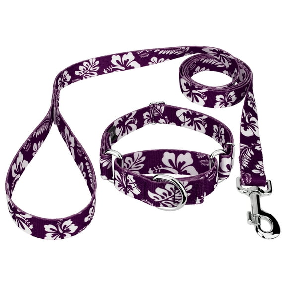 Country Brook Design® Purple Hawaiian Martingale Dog Collar & Leash