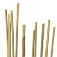 thumbnail image 3 of Vickerman 40" Natural Elephant Reed, 10 oz Bundle, Dried, 3 of 4