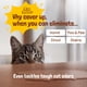 thumbnail image 4 of Limpiador enzimático Sunny & Honey Pet Stain & Odor Miracle, 3,78 L, 4 of 8