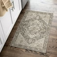 thumbnail image 5 of BERTHMEER 2'x3' Small Area Rugs Gray Rugs Washable Throw Rugs for Entryway Door indoor doormats Non-slip, 5 of 5