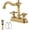 Antique Brass, variant on Bathroom Faucet Antique Brass 2 Handles 4 Inches Centerset Bathroom Vanity with Drain Assembly and Supply Hose Lavatory Faucet Mixer Double Handle Tap