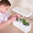 thumbnail image 5 of TTS Hydroponic Garden System w/ 7 Compartments, Educational Compact Smart Garden for Educators and Boys Girls Learners, Perfect for Teaching and Learning Materials - IT10345, 5 of 5