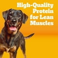 thumbnail image 3 of Pedigree Healthy Weight Adult Dry Dog Food, Roasted Chicken and Vegetable Flavor, 14 lb. Bag, 3 of 9